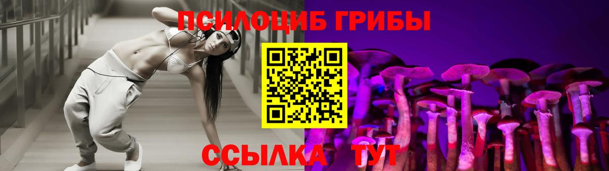 Галлюциногенные грибы MAGIC MUSHROOMS  Псилоцибиновые грибы мицелий  Ревда  Вход с VPN 